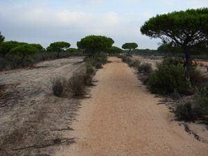 Vistas de la ruta